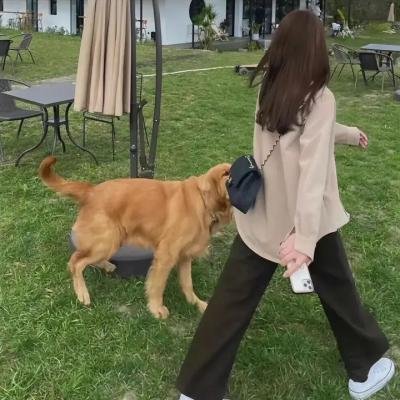 狱中计